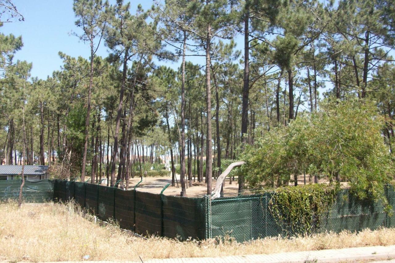 Ana Monica Pereira Διαμέρισμα Vila Nova de Milfontes Εξωτερικό φωτογραφία